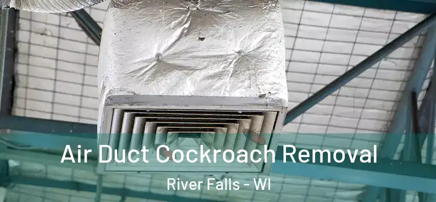 Air Duct Cockroach Removal River Falls - WI