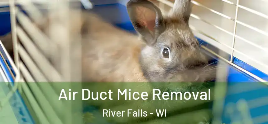 Air Duct Mice Removal River Falls - WI