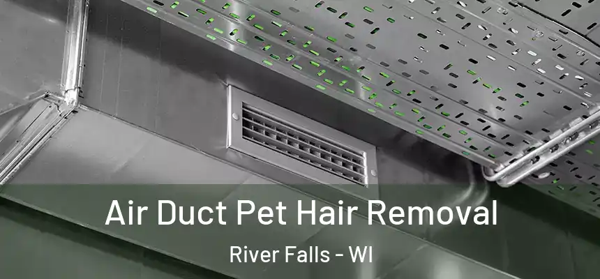 Air Duct Pet Hair Removal River Falls - WI