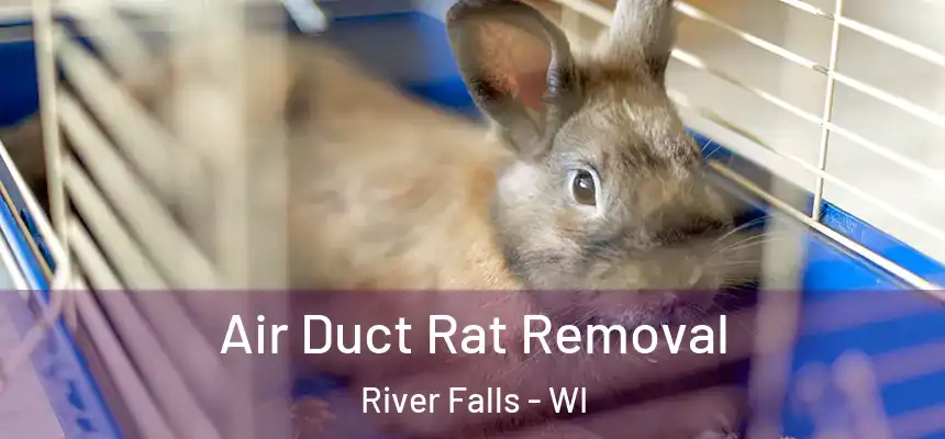  Air Duct Rat Removal River Falls - WI