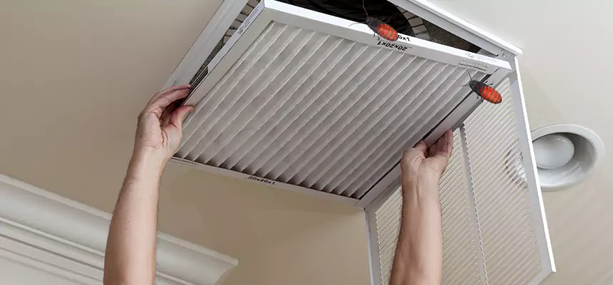 Preventive Cockroach-Proofing for Ducts in River Falls