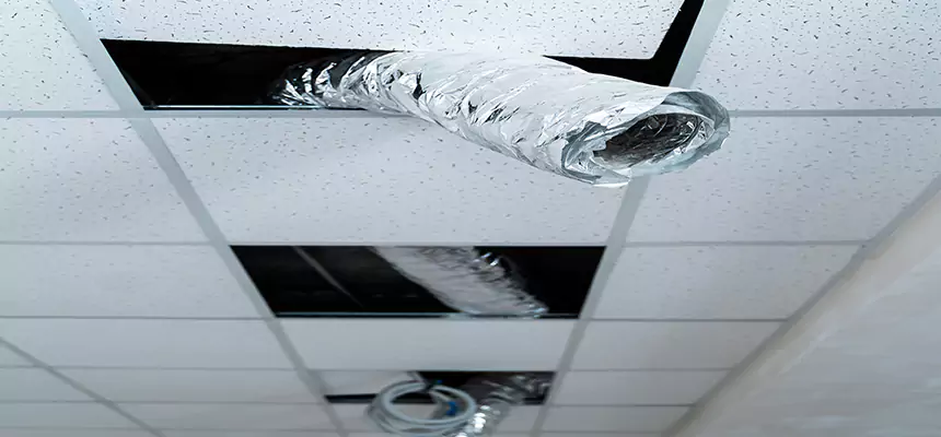 Our Air Duct Pet Hair Removal Services in River Falls, WI