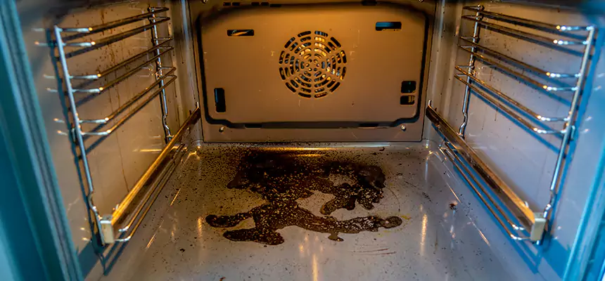 Our Dryer Vent Mold Cleaning Services in River Falls, WI