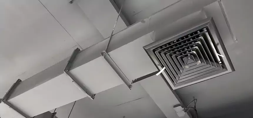 Our Rodent Droppings In Vents Services in River Falls, WI