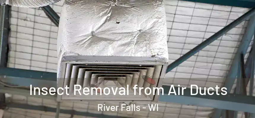  Insect Removal from Air Ducts River Falls - WI