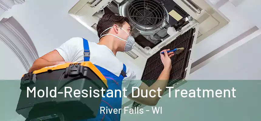 Mold-Resistant Duct Treatment River Falls - WI