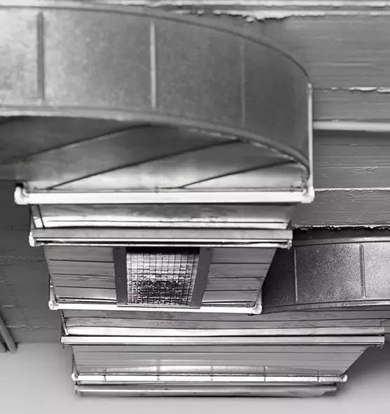 Professional Air Duct Pet Hair Removal in River Falls, WI