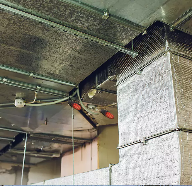 Why Homeowners & Businesses Trust Us in River Falls, WI?