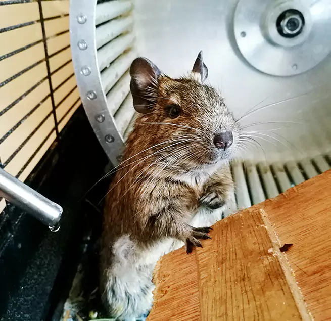 Why Homeowners & Businesses Trust Us River Falls, WI